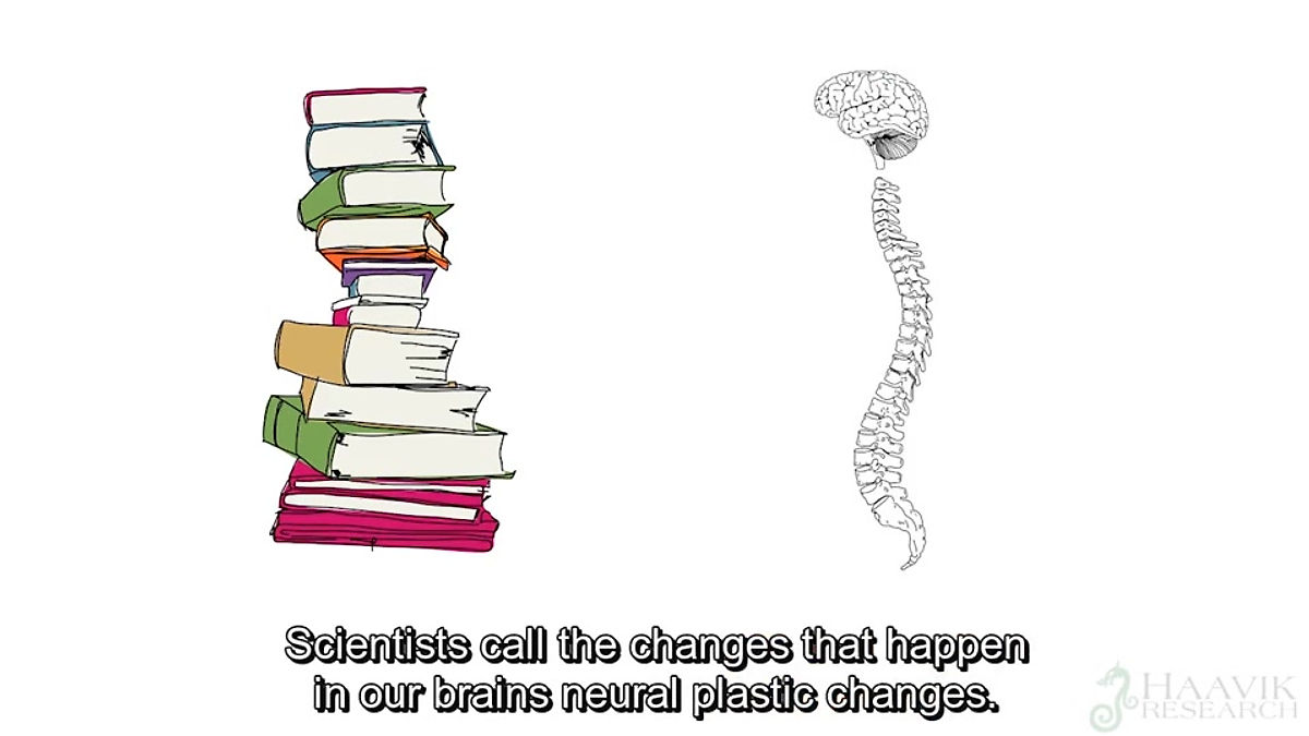 Your Spine Effects Brain Function